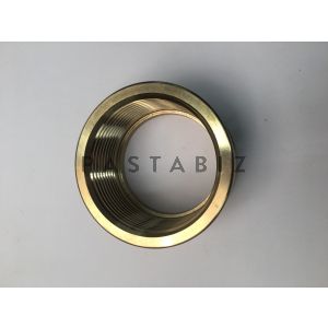 RING NUT FOR DOLLY